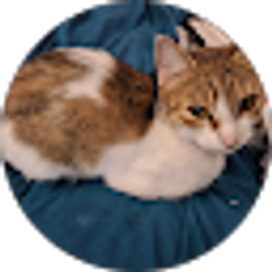 Profile photo of Joe Coffie