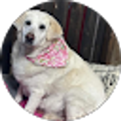 Profile photo of Rhonda Johnson