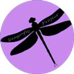 Profile photo of Dragonfly