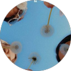 Profile photo of Andrea Ortega