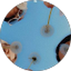 Profile photo of Andrea Ortega