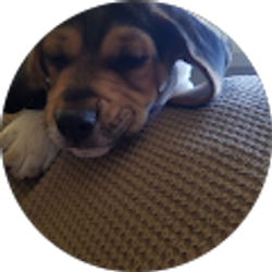 Profile photo of Tammy Garrett