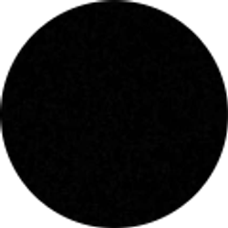 Profile photo of Abbey Brandt