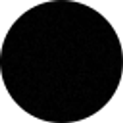 Profile photo of Abbey Brandt