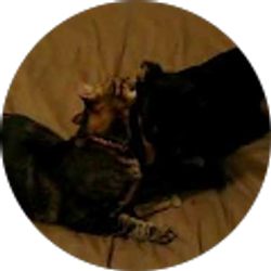 Profile photo of Keys