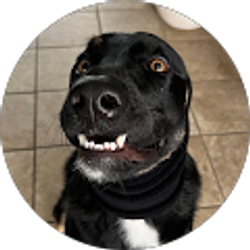Profile photo of TK Johnston