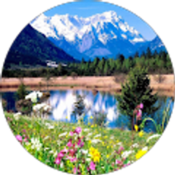 Profile photo of Darnell Darnell