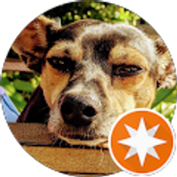 Profile photo of daniel “Dan”