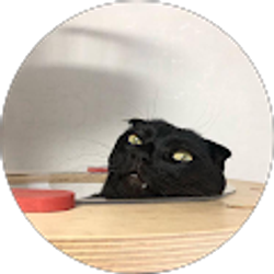 Profile photo of Thy Trần