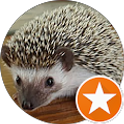 Profile photo of Sydney Sinclair