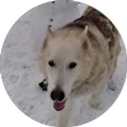 Profile photo of Kaylonnie Baker