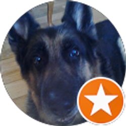 Profile photo of Ingrid Labazzetta