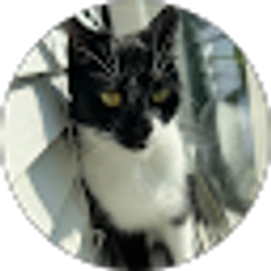 Profile photo of Jennifer Sanz