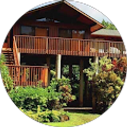 Profile photo of steven cademartori dds