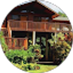 Profile photo of steven cademartori dds