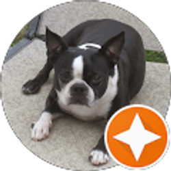 Profile photo of Elaine Taylor