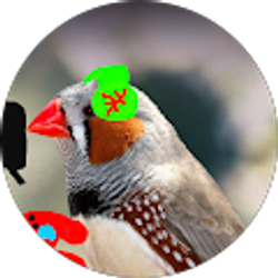 Profile photo of Jesus H