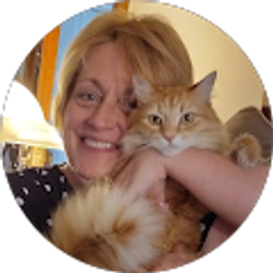 Profile photo of Joey Wilcox