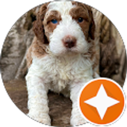 Profile photo of Debra Daily