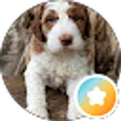Profile photo of Debra Daily