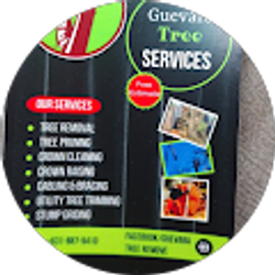 Profile photo of Guevara tree remove