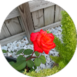 Profile photo of Laritza Matos