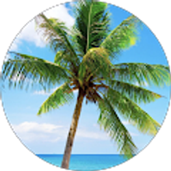 Profile photo of Tammy Emmerich