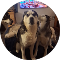 Profile photo of S Goldschmidt