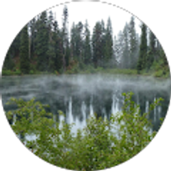 Profile photo of Brett Mennen