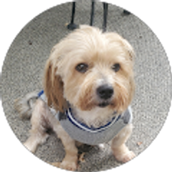 Profile photo of Janet CAMERON