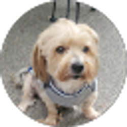 Profile photo of Janet CAMERON