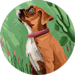 Profile photo of Maria D.