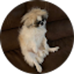 Profile photo of CMIIL3R