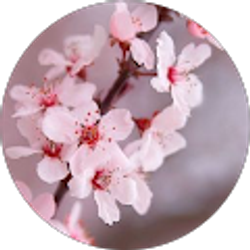 Profile photo of Tammy Wisner