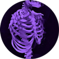 Profile photo of Ozzi Clearman