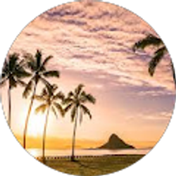 Profile photo of Marcel Atenza