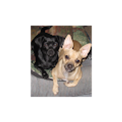 Profile photo of Ames Duncan