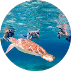 Profile photo of Cory Rovnak