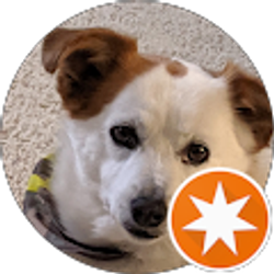 Profile photo of Steve Fish