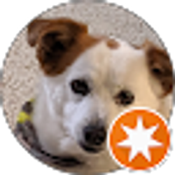 Profile photo of Steve Fish