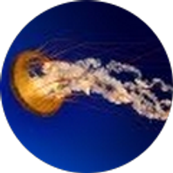 Profile photo of Nicole Chandler