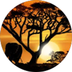 Profile photo of Isaac