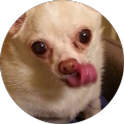 Profile photo of Lori Kurtz