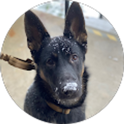 Profile photo of Katherine Burnham