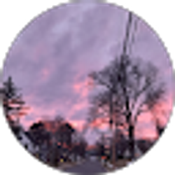 Profile photo of Pamela K. Rojas Hurtado