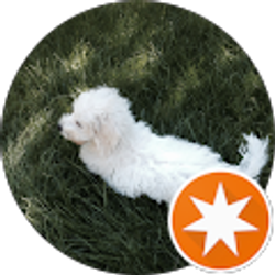 Profile photo of Teresa Gregory