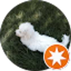 Profile photo of Teresa Gregory