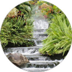 Profile photo of Padam Chainani