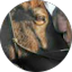 Profile photo of Katy Bradford