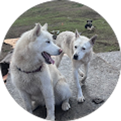 Profile photo of EL R